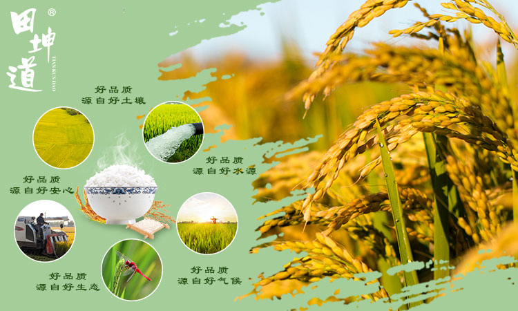 田坤道｜各卫视上榜品牌，生态健康引领行业新标杆