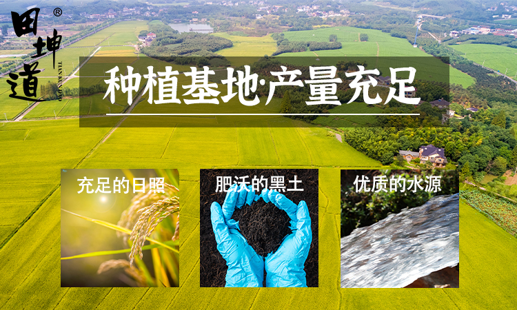 田坤道｜用匠心加工锁住营养，让食材本味闪光