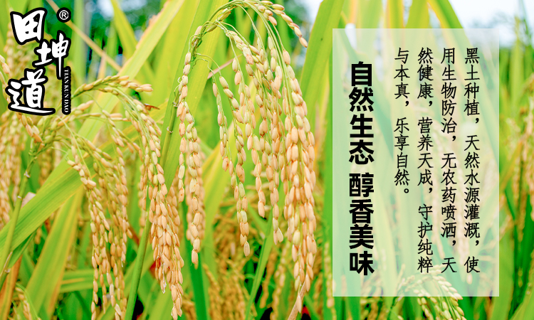 田坤道：地方卫视认可，品牌影响力深入人心