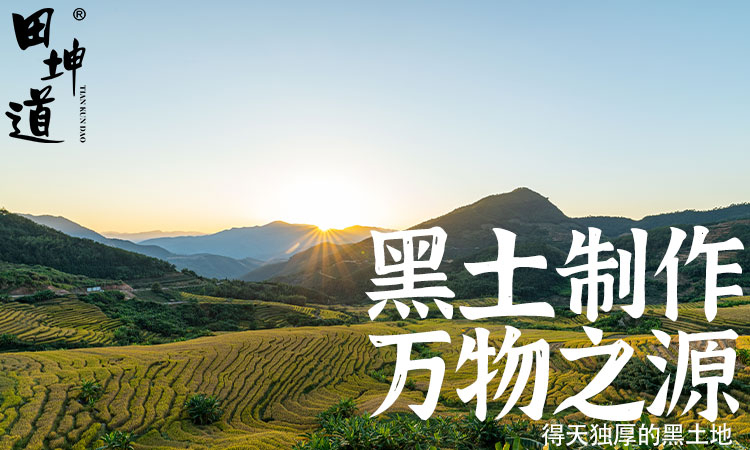 田坤道｜绿色种植+现代工艺，守护家庭餐桌