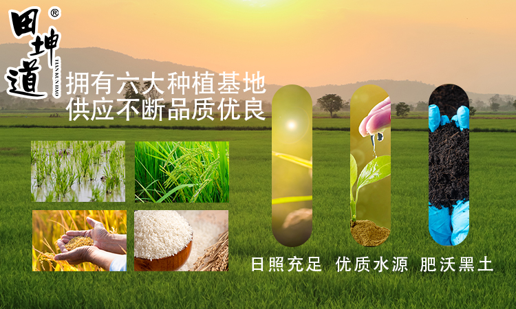 田坤道：深耕生态粮油十余年，打造可信赖的国民品牌